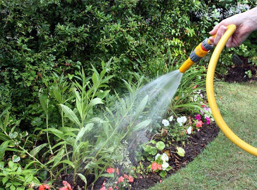 Cuidados com Jardim de Condomínios