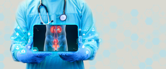 Cuidados com Insuficiência Renal: Um Guia Essencial para Proteger Seus Rins